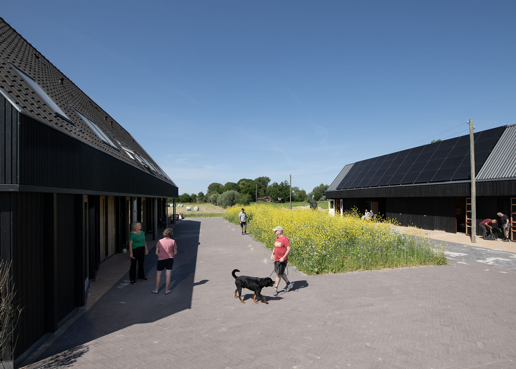 Het gedeelde erf (foto: Rufus de Vries)