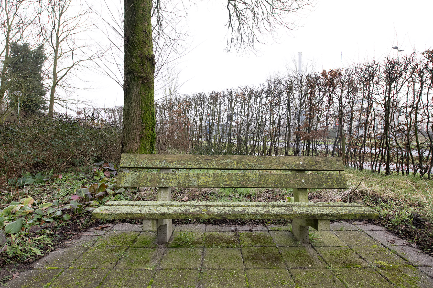 Bestaande situatie. Foto: Rufus de Vries