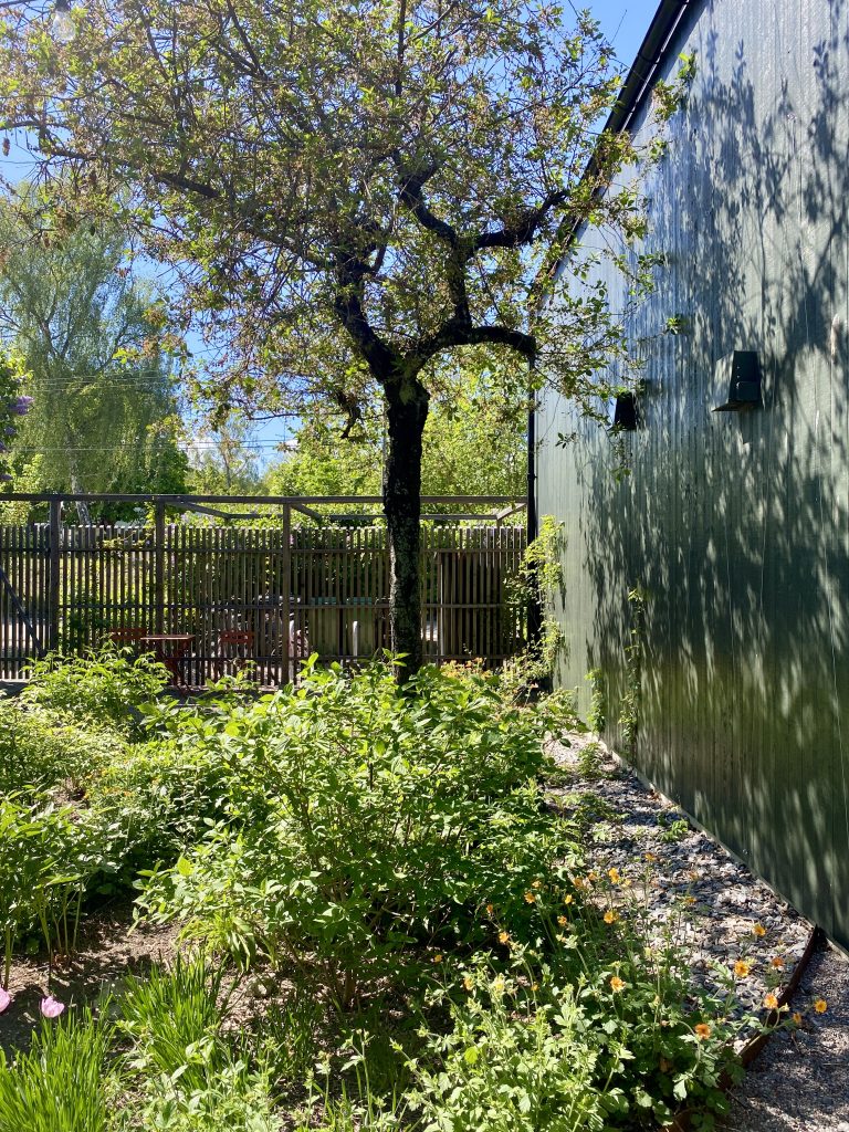 Bewoners hebben hun eigen compacte buitenruimte en delen de rest van de tuin. (foto: Hanneke)