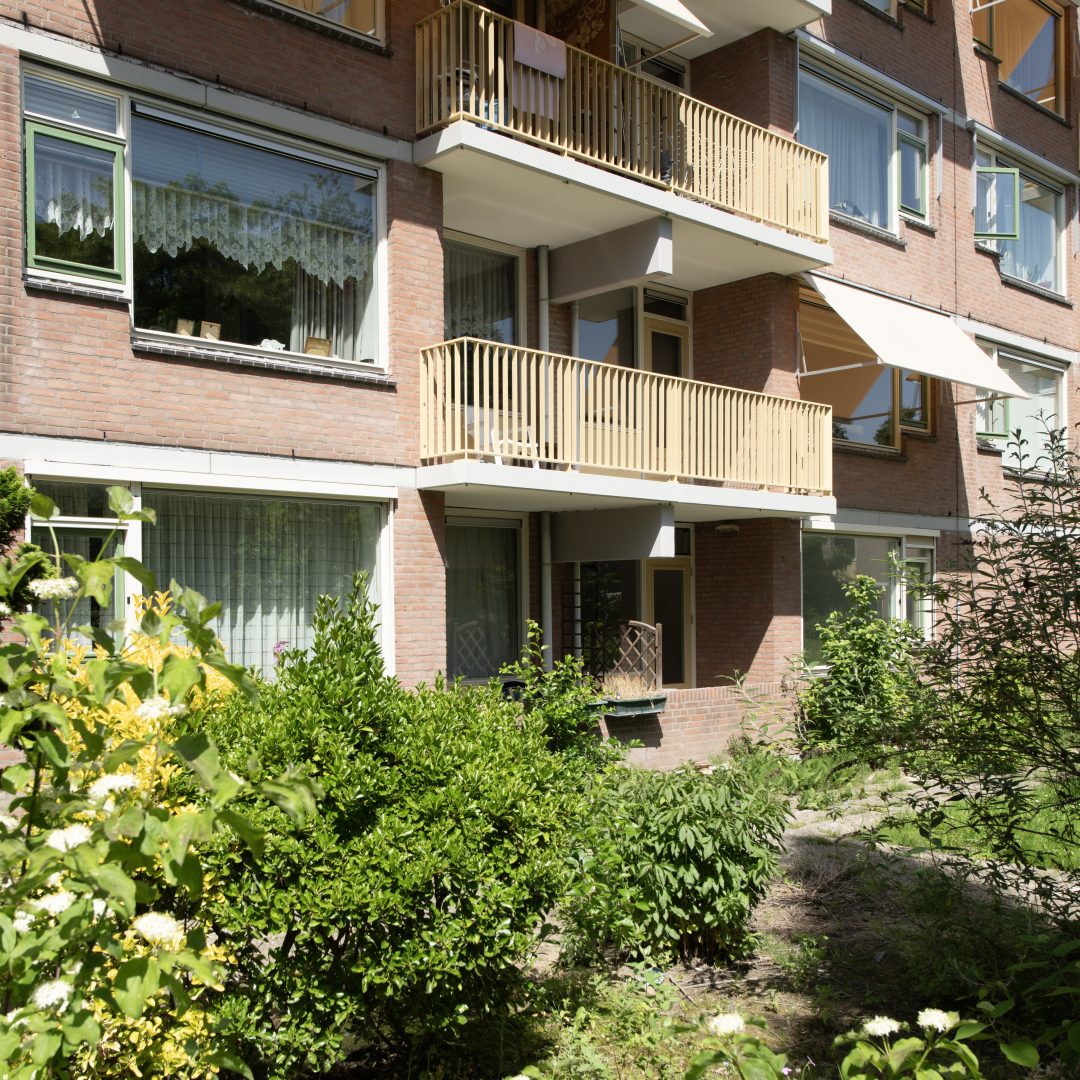 2026-05-26_OPE-RDV_5948